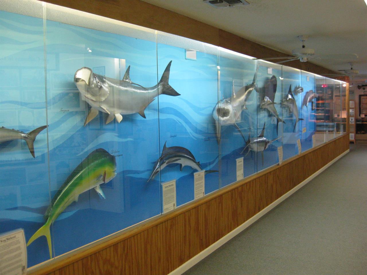 History and Fishing Museum